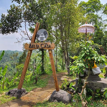 Delta Casa Ubud-Jungle Villas With Volcano View Payangan Buitenkant foto