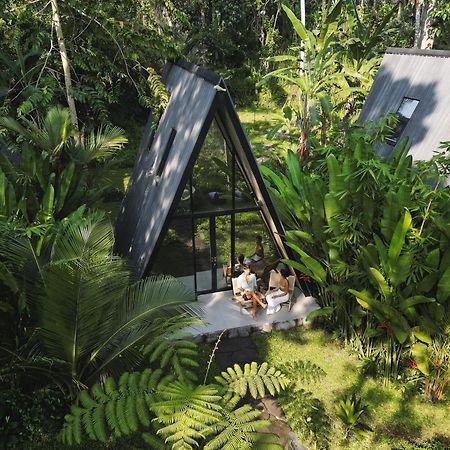 Delta Casa Ubud-Jungle Villas With Volcano View Payangan Buitenkant foto