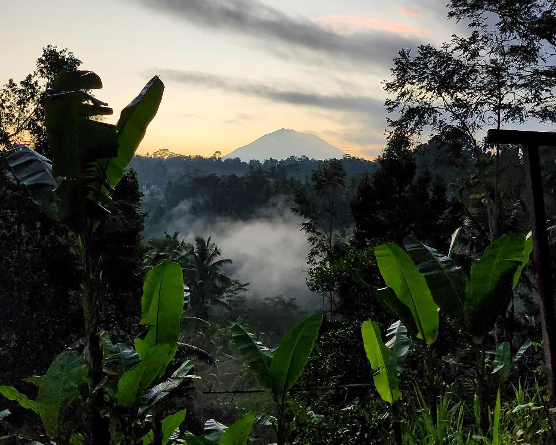 Delta Casa Ubud-Jungle Villas With Volcano View Payangan Buitenkant foto