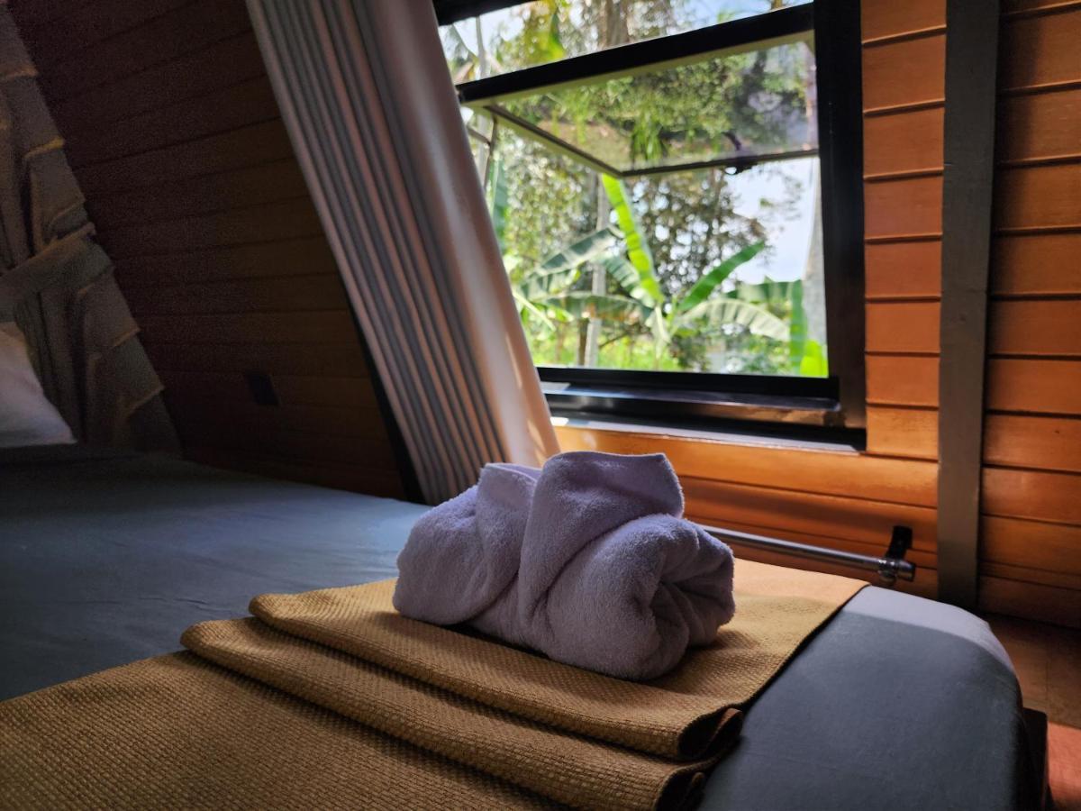 Delta Casa Ubud-Jungle Villas With Volcano View Payangan Buitenkant foto