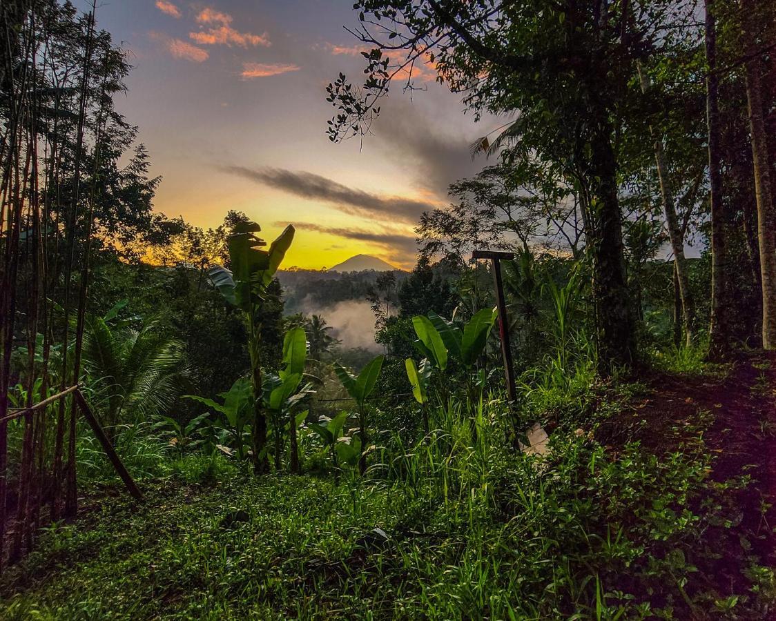 Delta Casa Ubud-Jungle Villas With Volcano View Payangan Buitenkant foto