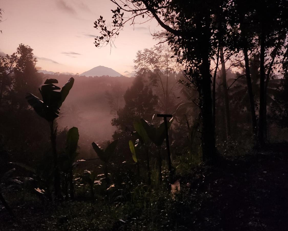 Delta Casa Ubud-Jungle Villas With Volcano View Payangan Buitenkant foto