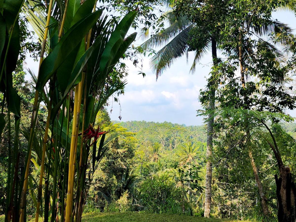 Delta Casa Ubud-Jungle Villas With Volcano View Payangan Buitenkant foto