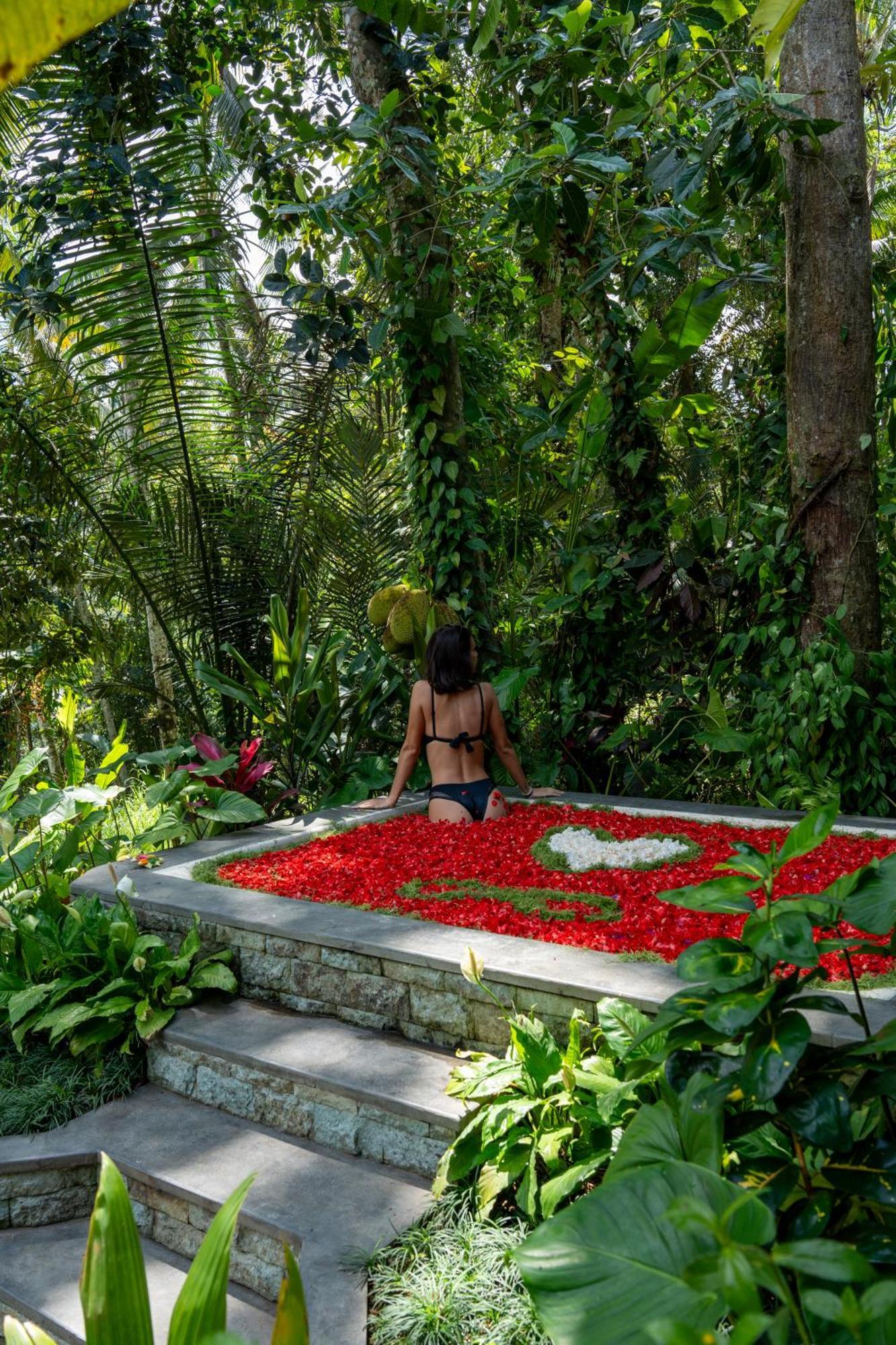 Delta Casa Ubud-Jungle Villas With Volcano View Payangan Buitenkant foto