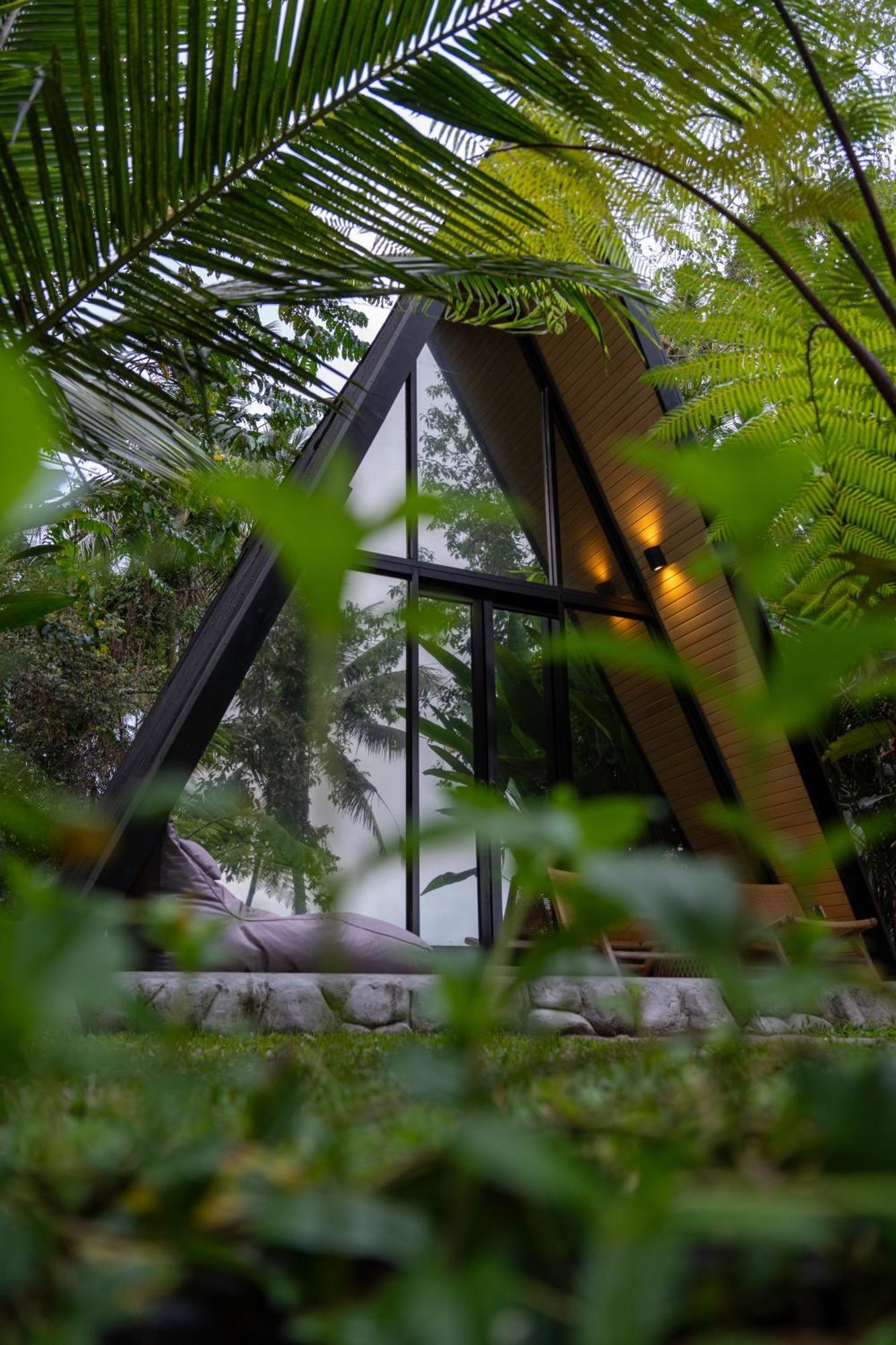 Delta Casa Ubud-Jungle Villas With Volcano View Payangan Buitenkant foto